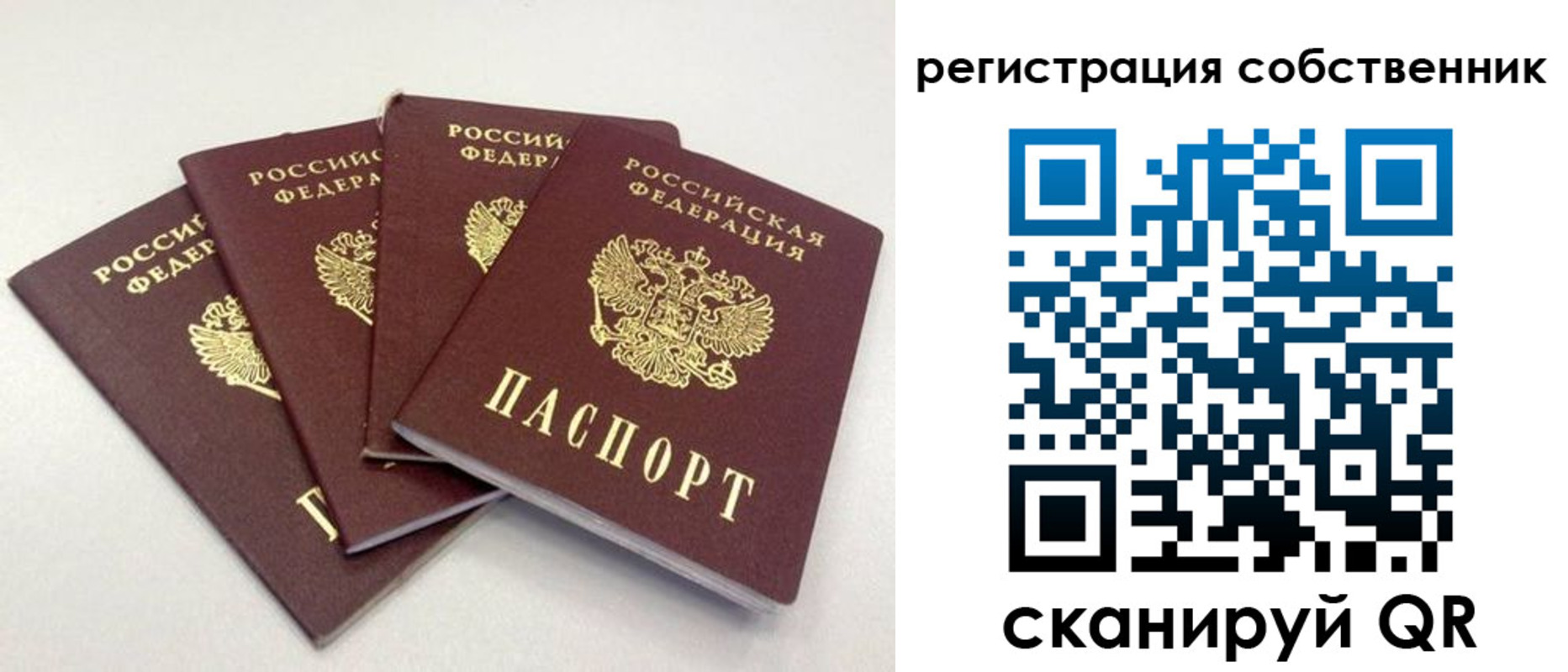 прописка для школы в Болхове